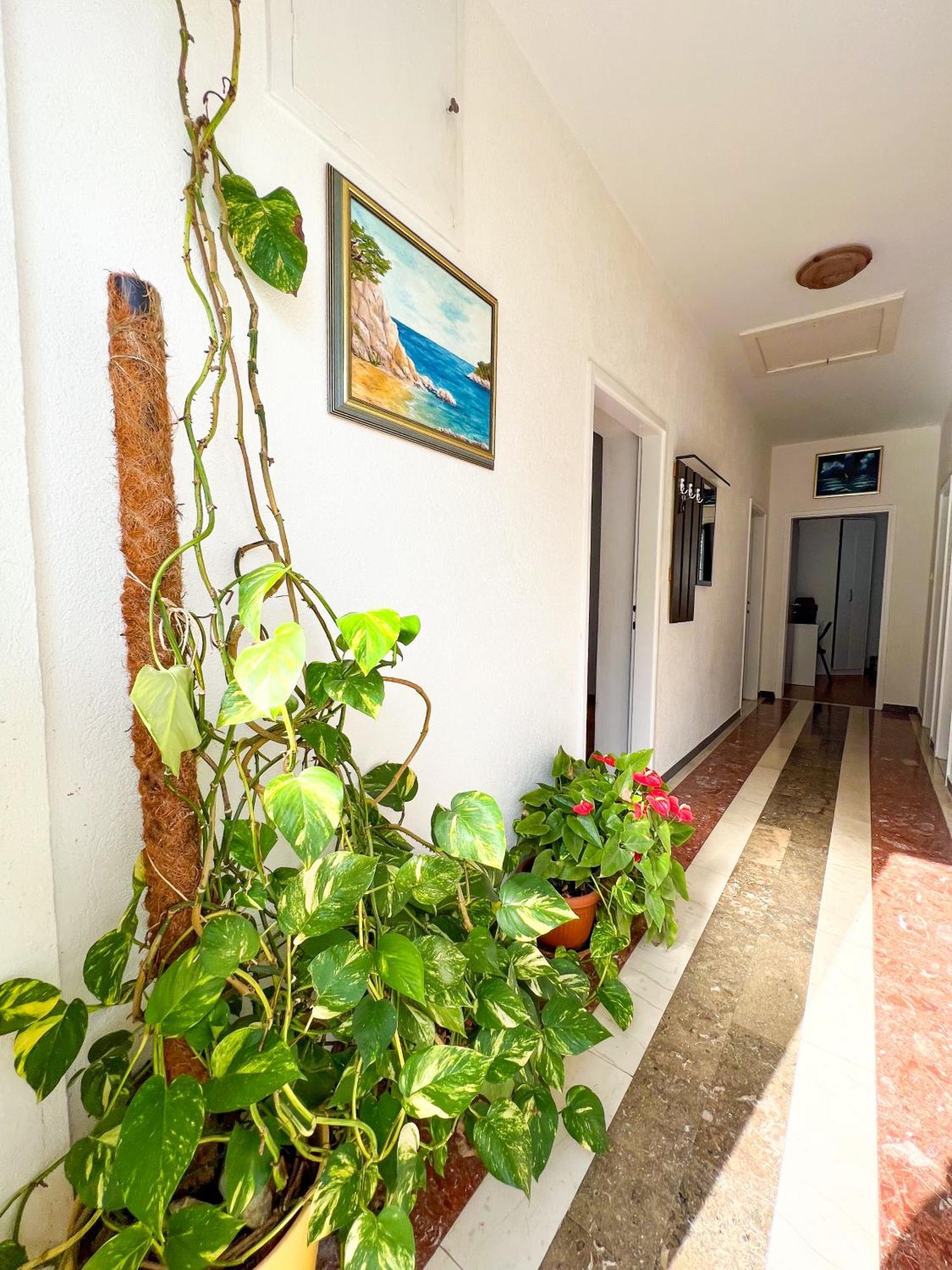Apartment Bava ドゥブロブニク エクステリア 写真